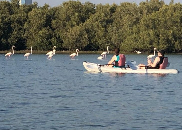 Challenging Adventure LLC-哈伊马角必去景点