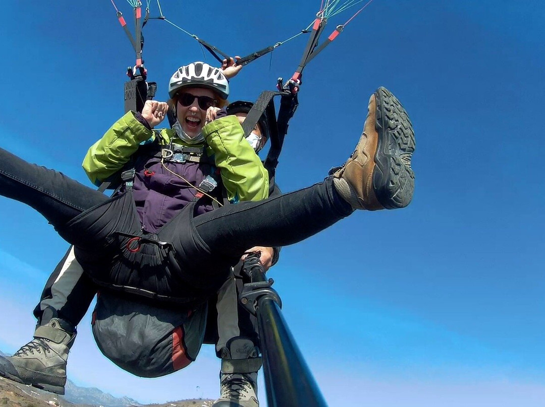 Parapente Tropical-莫特里尔必去景点