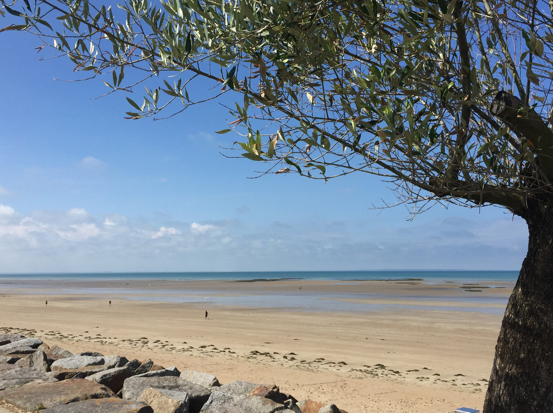 La Cotentine主图