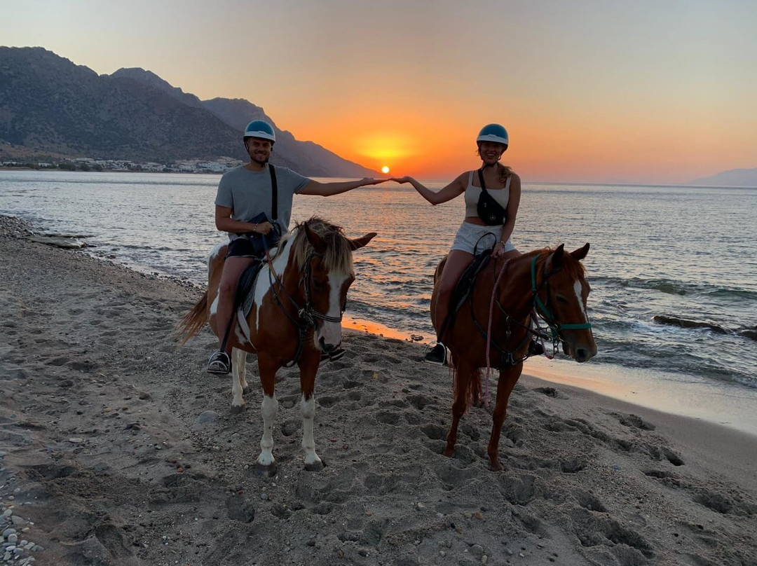 Kardamena Horse Riding Center-卡达米那必去景点