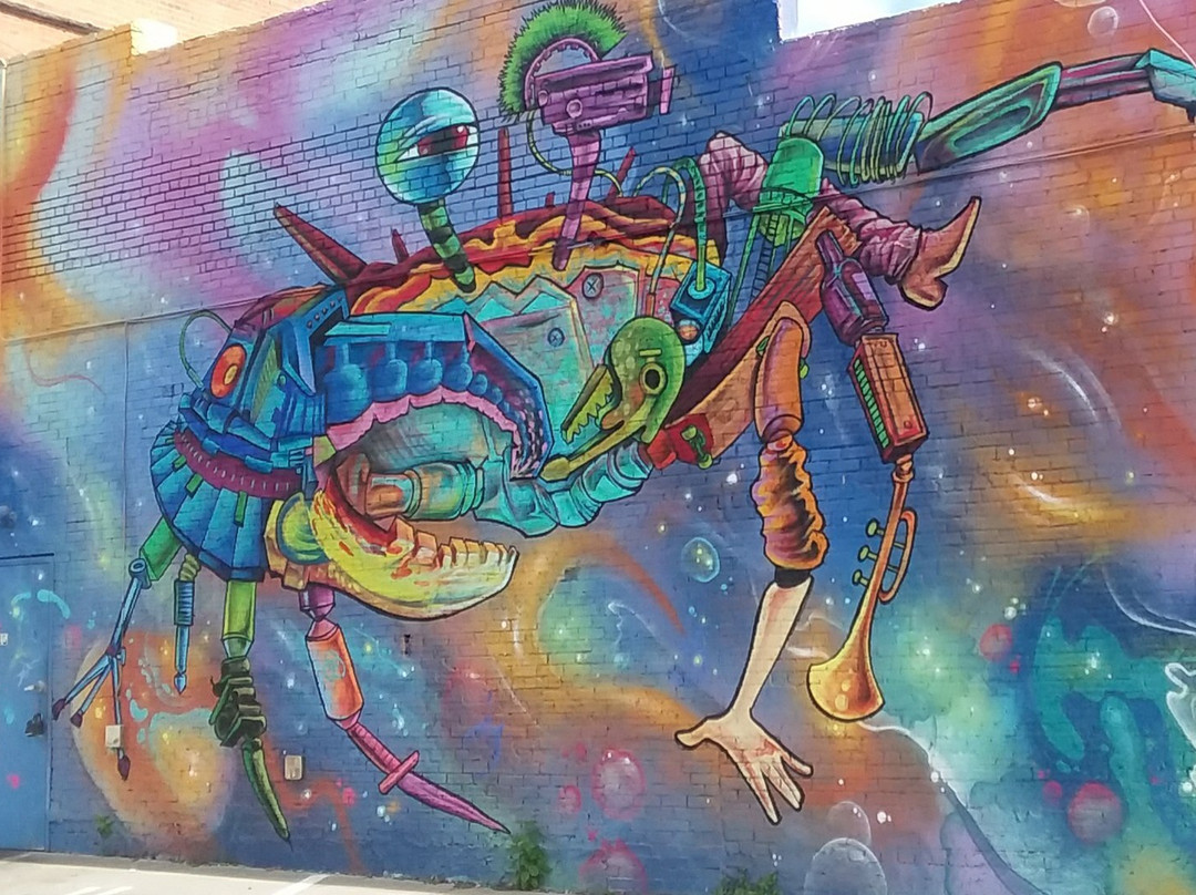 榆树街-达拉斯必去景点