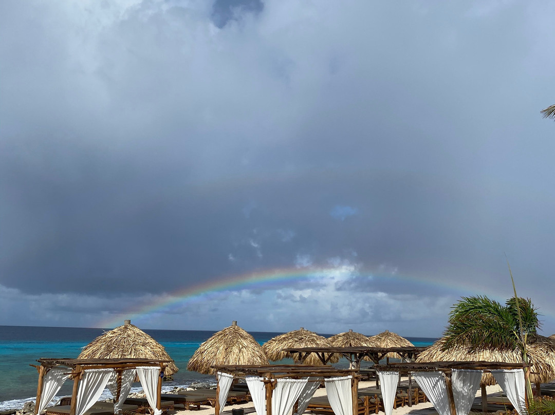 Ocean Oasis Beach Club-Kralendijk必去景点