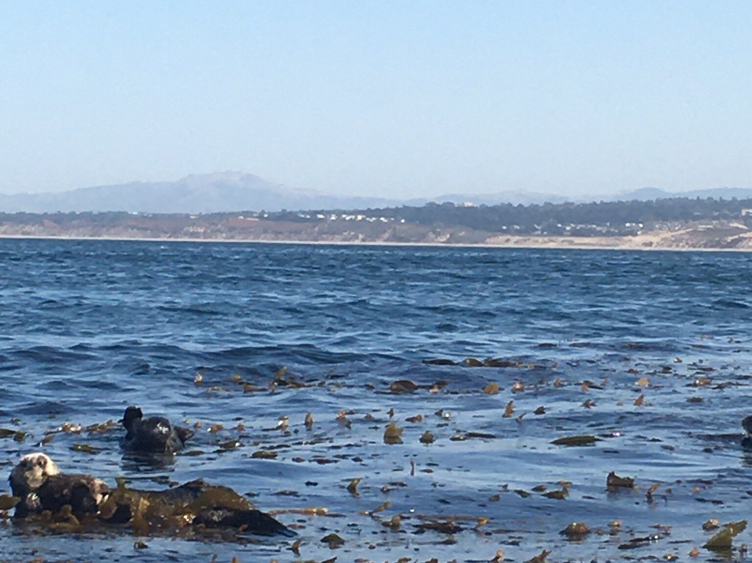Adventures by the Sea-蒙特雷必去景点