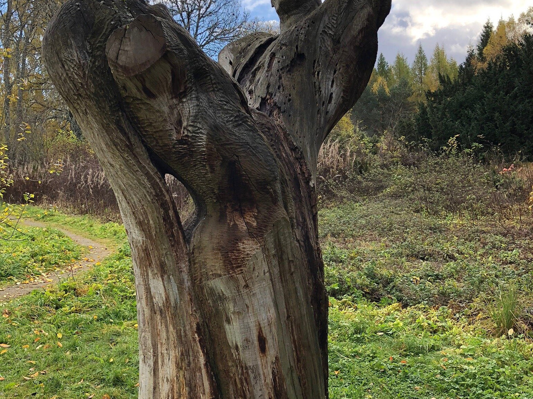 Frank Bruce Sculpture Trail-Feshiebridge必去景点