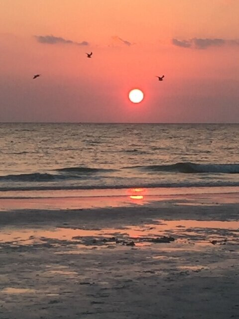 Haley's at Anna Maria Island Inn主图