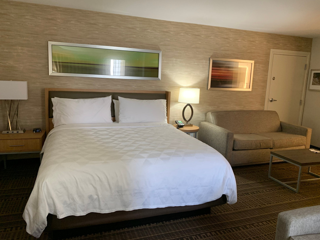 钻石吧假日酒店主图