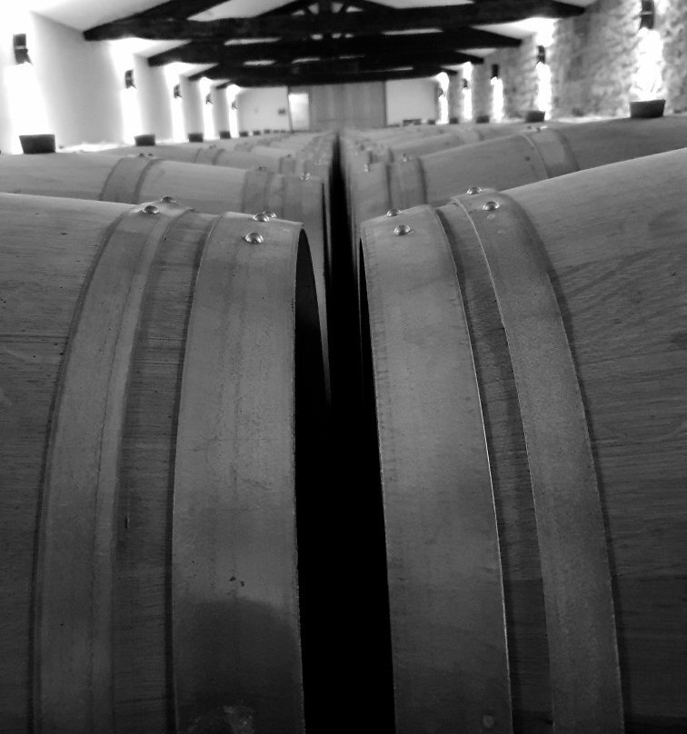 Chateau Panet, Vignobles Carles景点图片