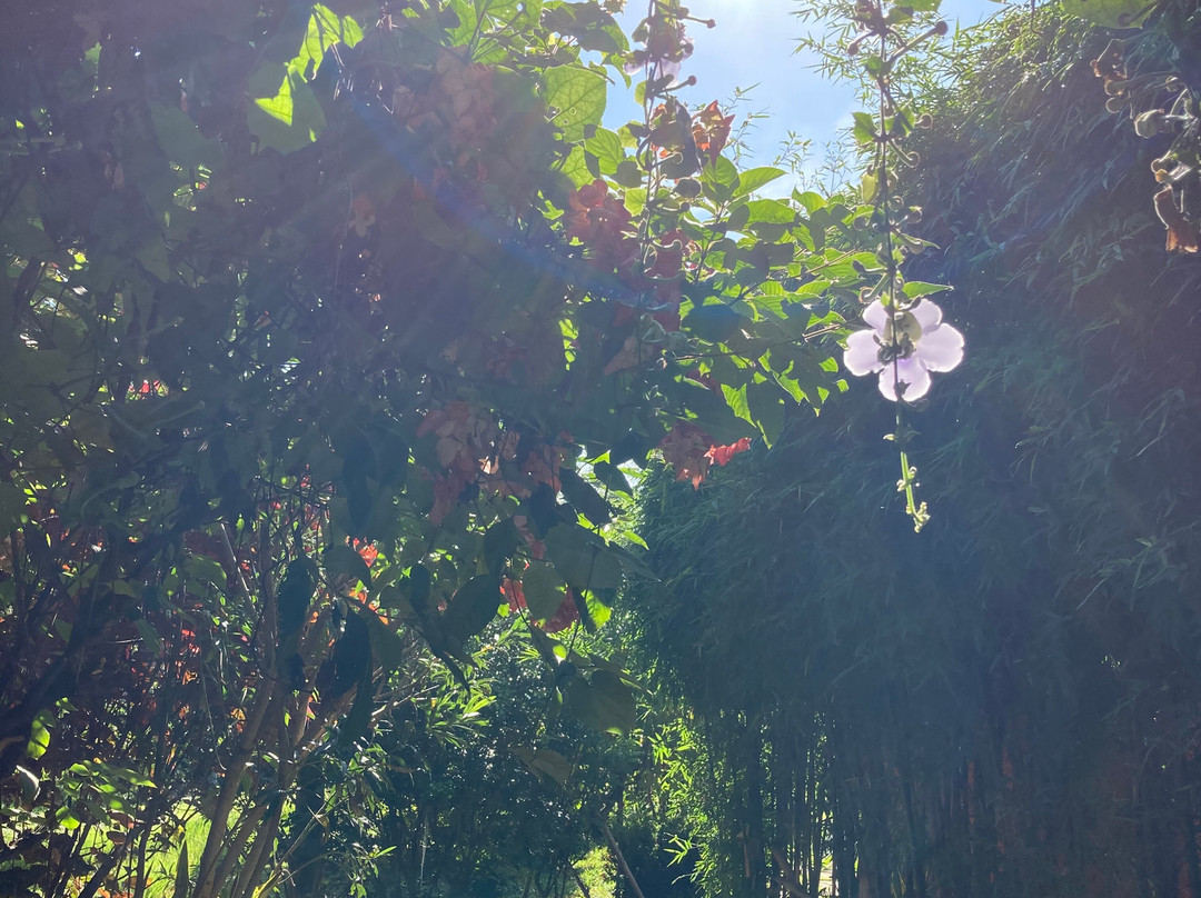 Museflower Retreat & Spa主图