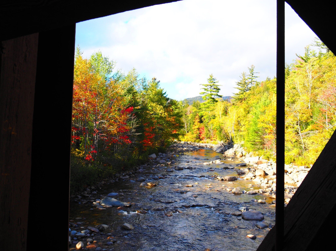 Albany Covered Bridge-Albany必去景点