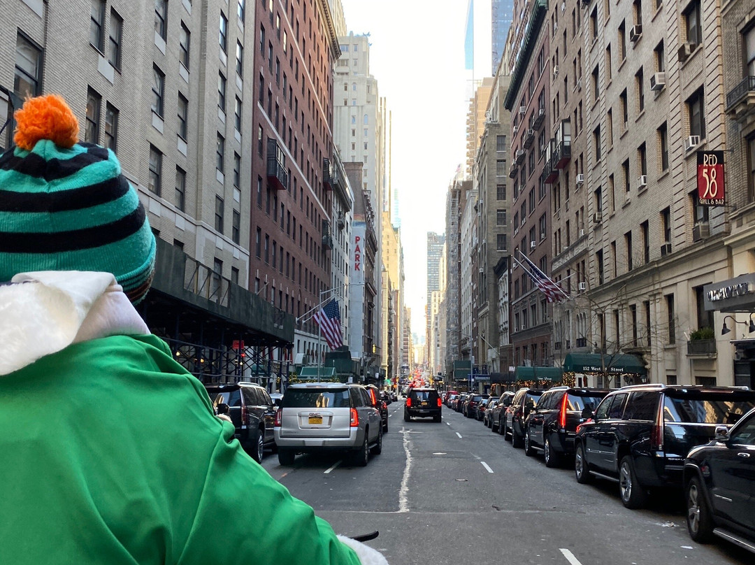 Peter Pen Tours of Central Park-纽约市必去景点