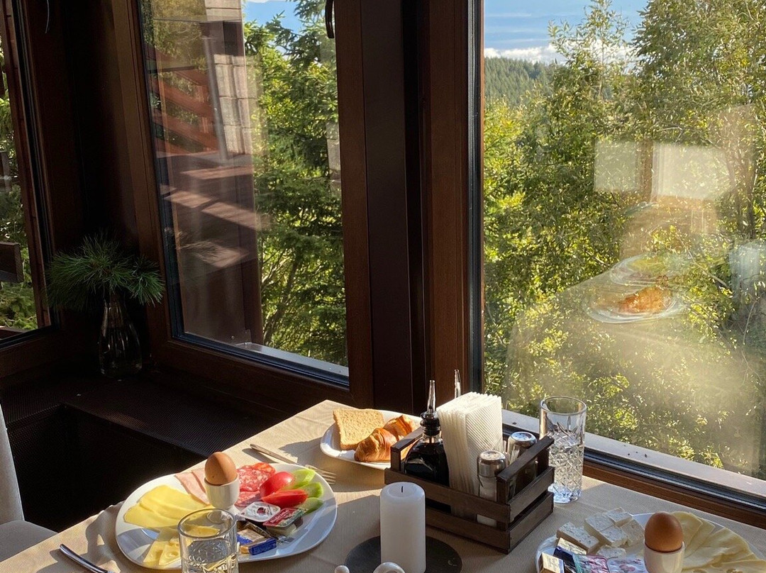 Hotel Moreni & Spa主图