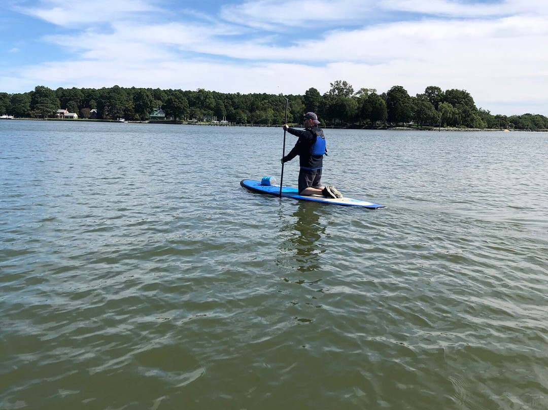 Shore Pedal and Paddle景点图片