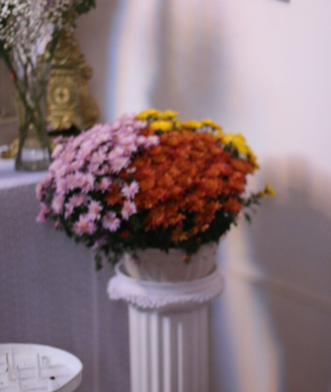 Eglise Saint-Eugène