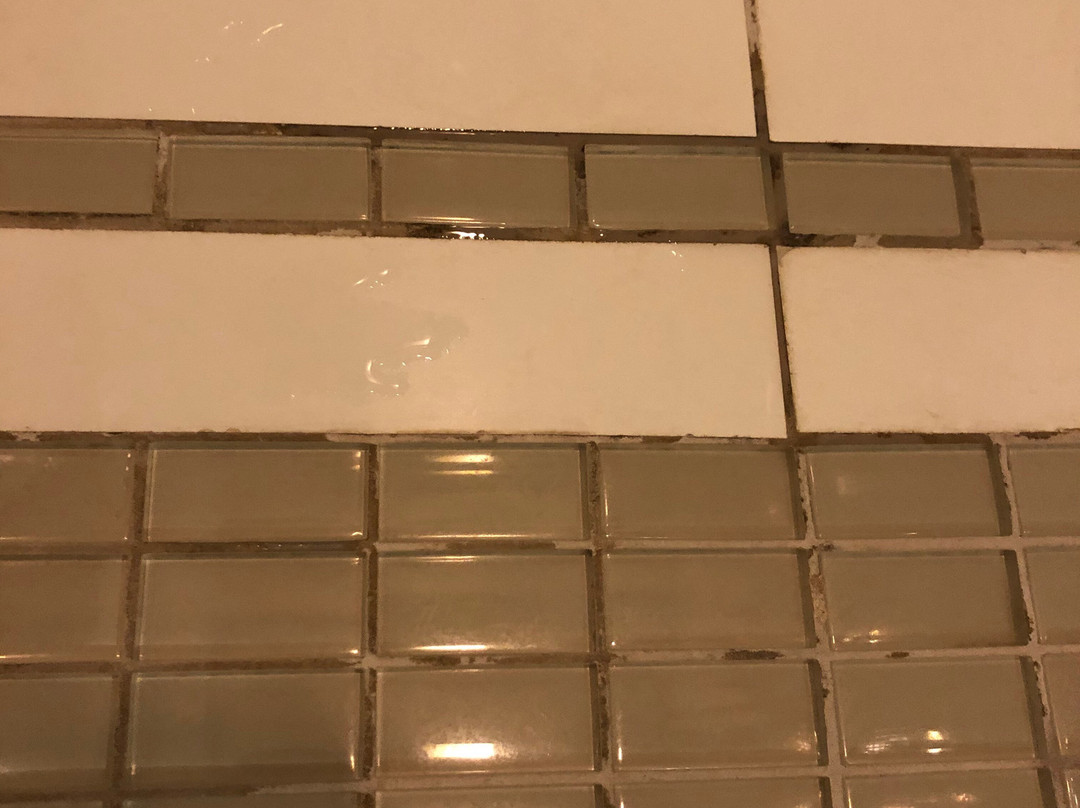 Nobile Suites Gran Lumni Rio Branco主图