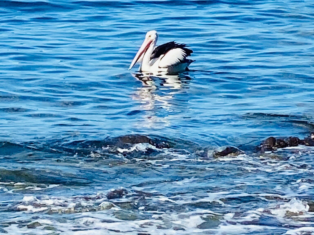基亚马露台摩托旅店主图