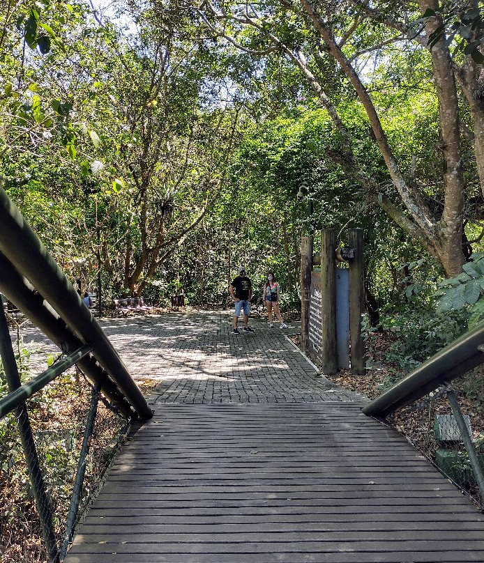 Parque Municipal Ilha Grande景点图片