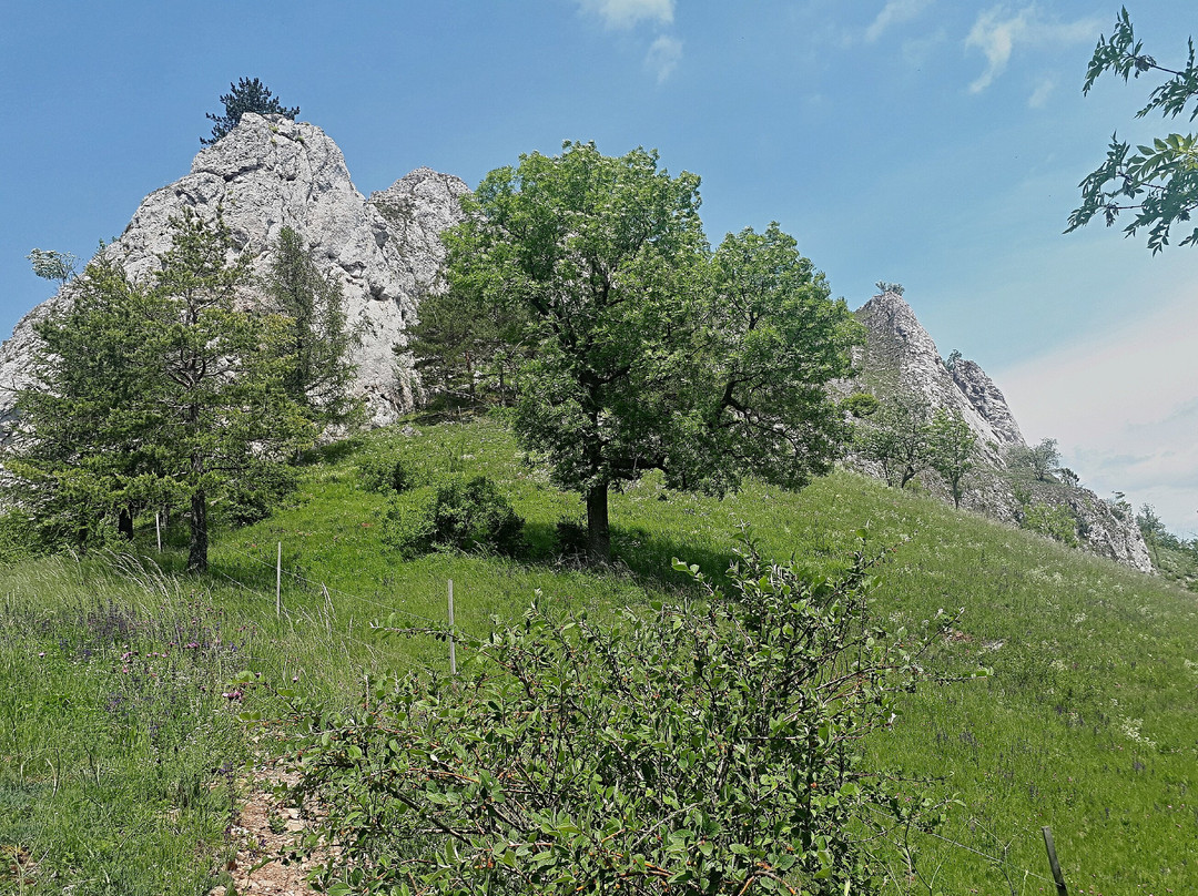 Vršatecký hrad-Vrsatske Podhradie必去景点