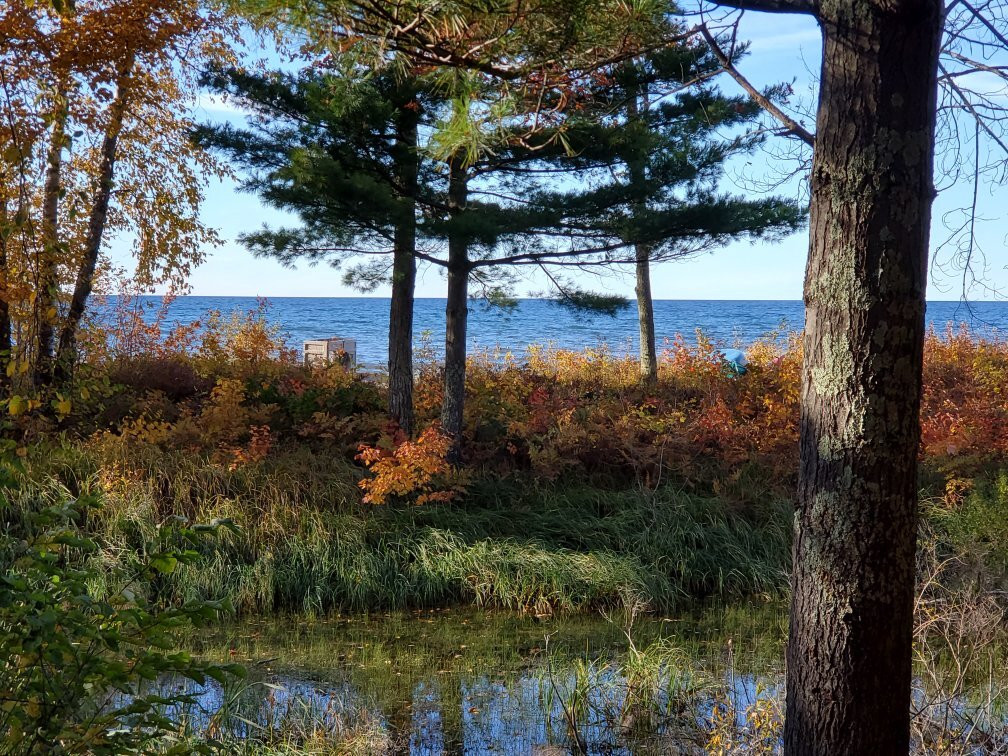 Scott's Superior Inn & Cabins主图