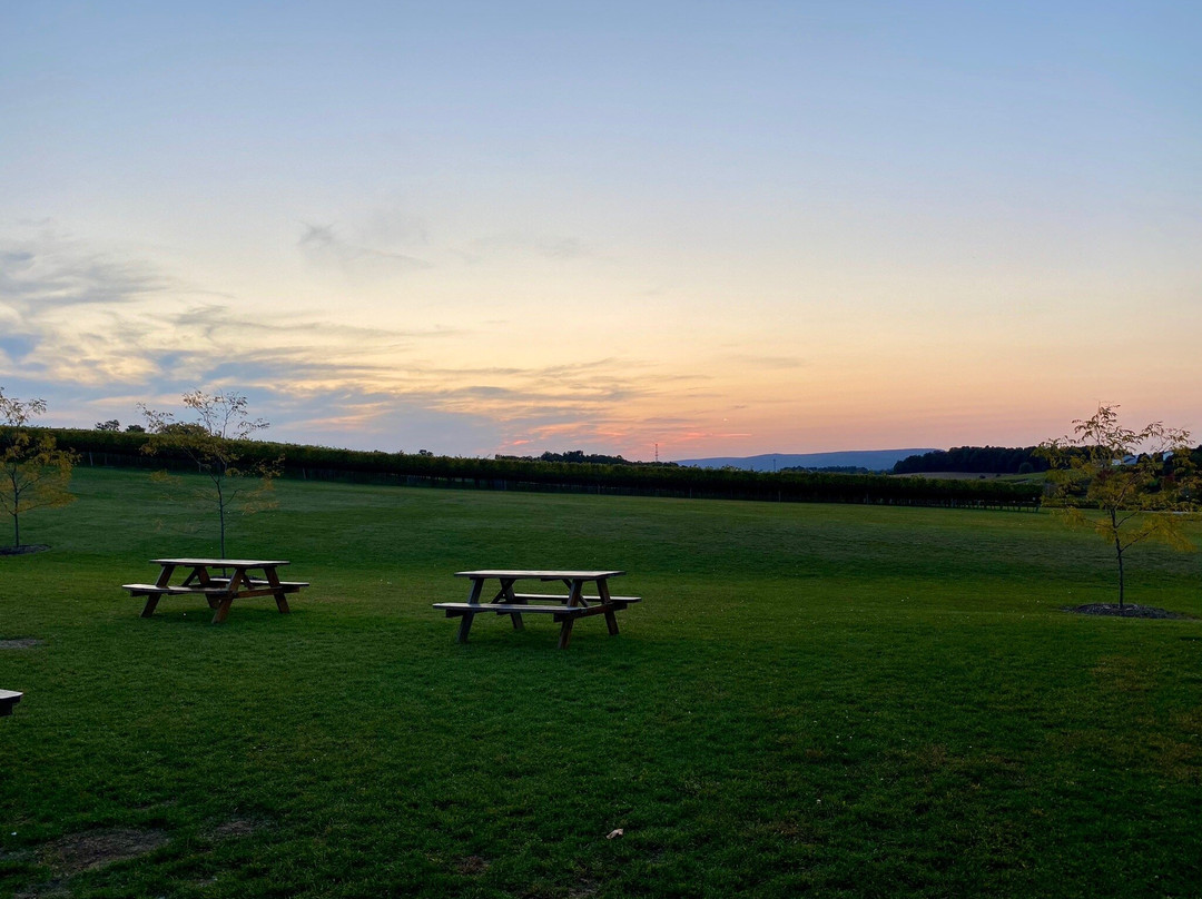 Folino Estate Vineyard & Winery-Kutztown必去景点