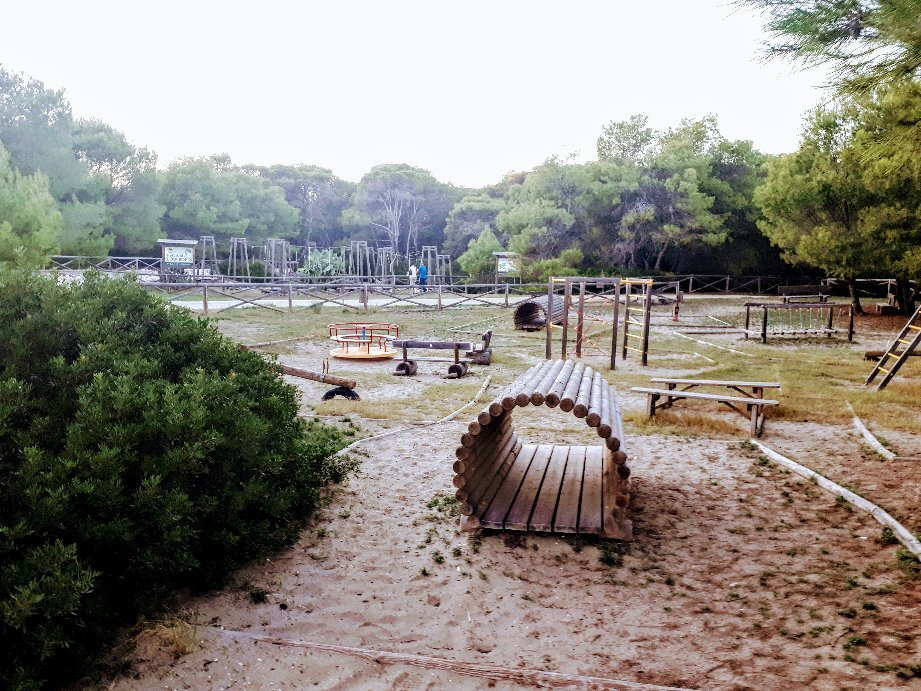 Parco Pineta Regina景点图片