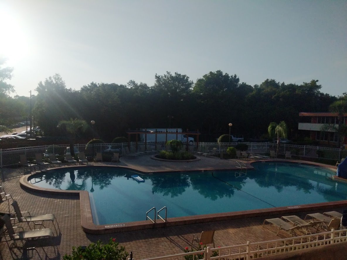 奥兰多基西米红狮酒店-酒店景观