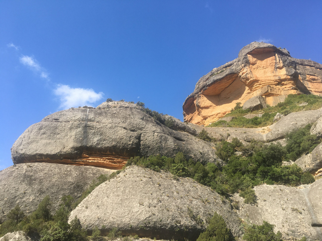 Sant Bartomeu de Fraguerau景点图片