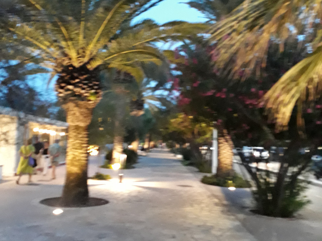 Riviera delle Palme-圣贝内代托-德尔特龙托必去景点