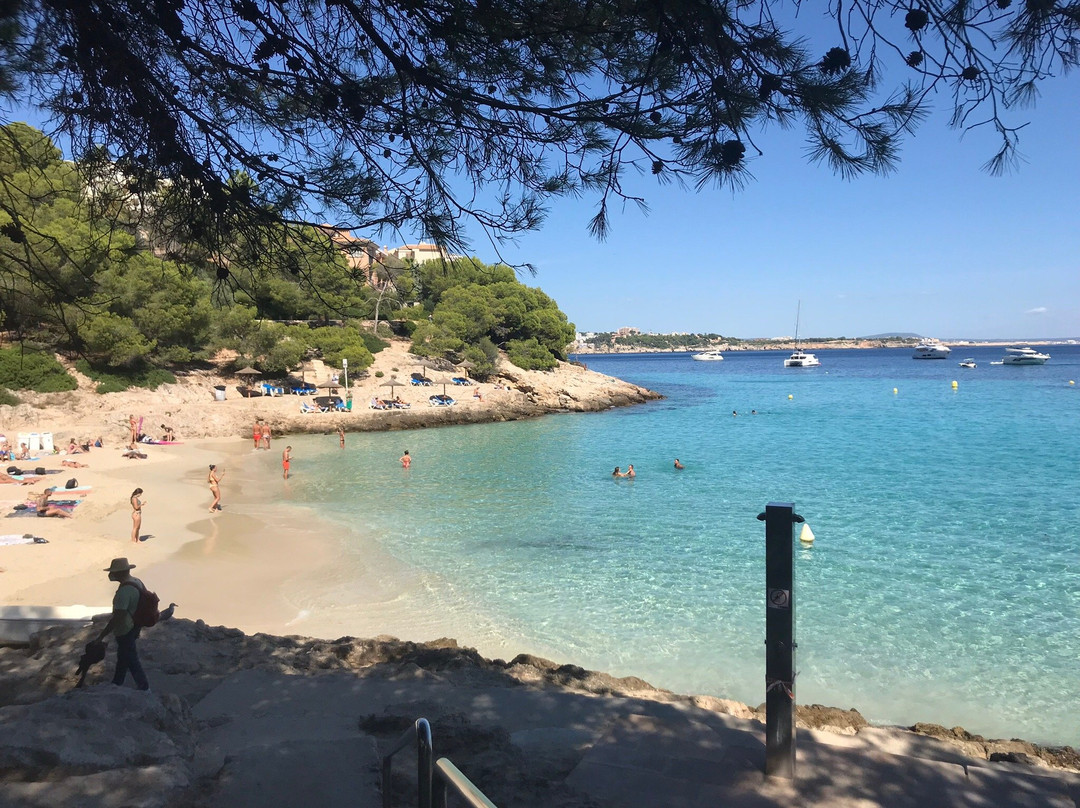 Cala Comtesa景点图片