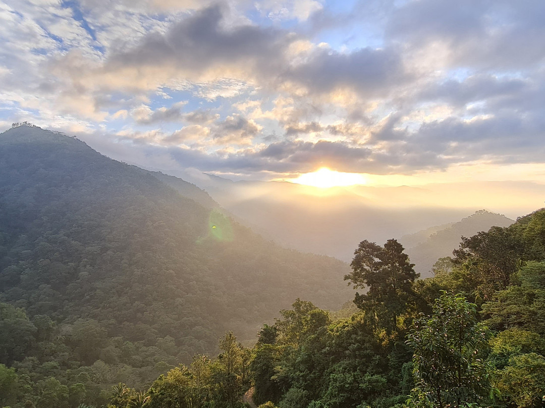 Serenity Panchalimedu主图