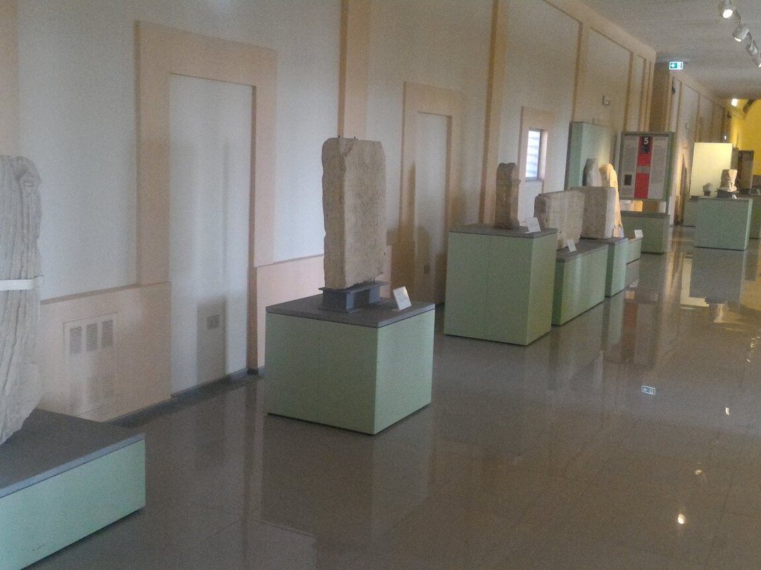 Museo Civico Archeologico e Pinacoteca Edilberto Rosa-Amelia必去景点