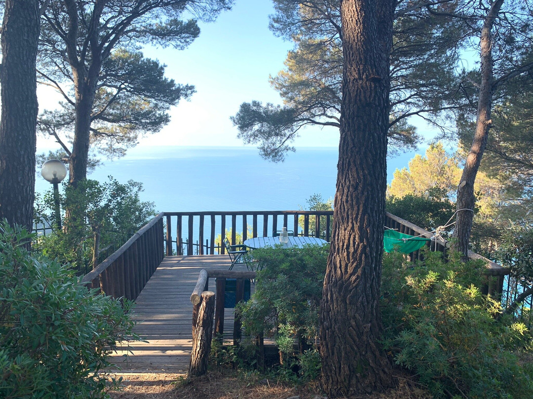 Cavalluccio Marino主图