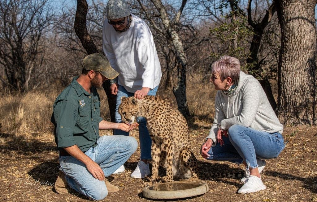 Big Cat Experiences景点图片