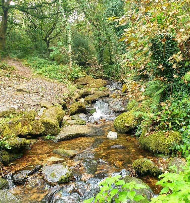 St Breward to Lank Circular Walk-St. Breward必去景点