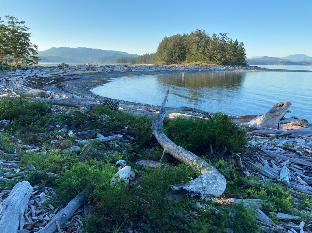 Rebecca Spit Marine Provincial Park景点图片
