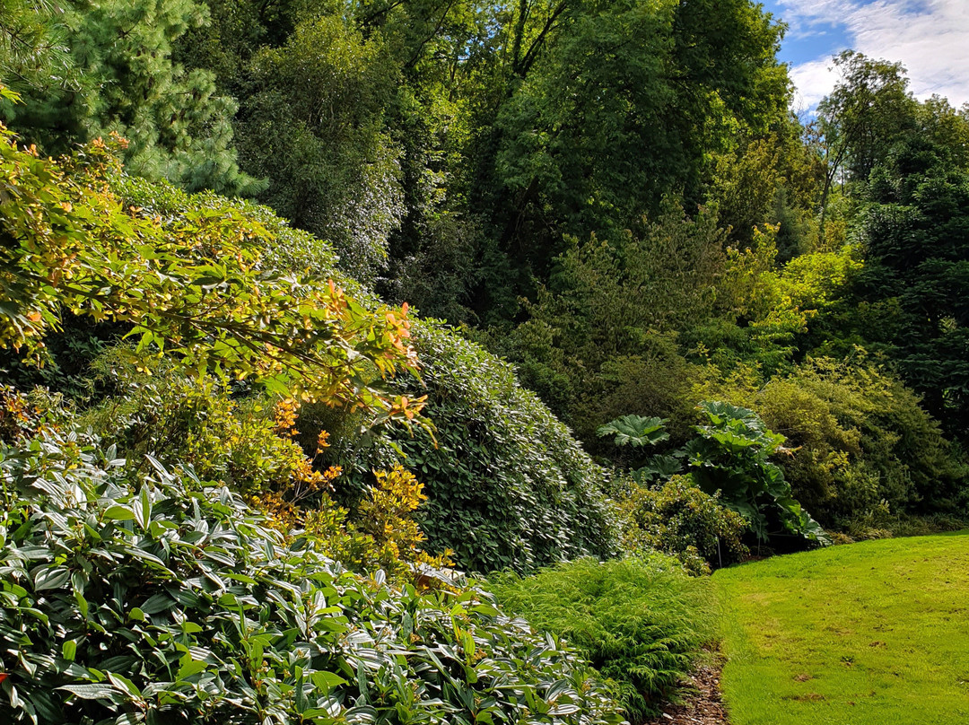 Jardin Botanique Jean-Marie Pelt景点图片