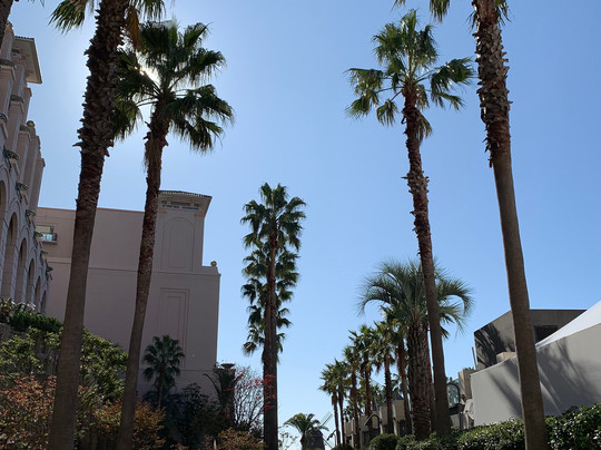 济州乐天酒店主图