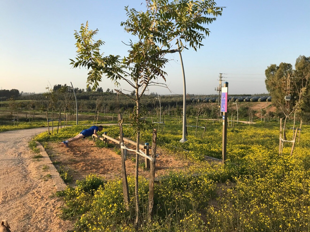 Shape Park-Kefar Sava必去景点