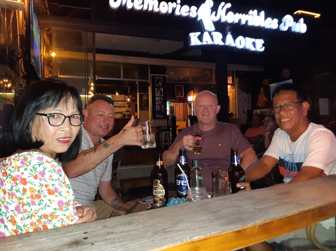 Memories & Horribles Karaoke Pub-博德鲁姆必去景点