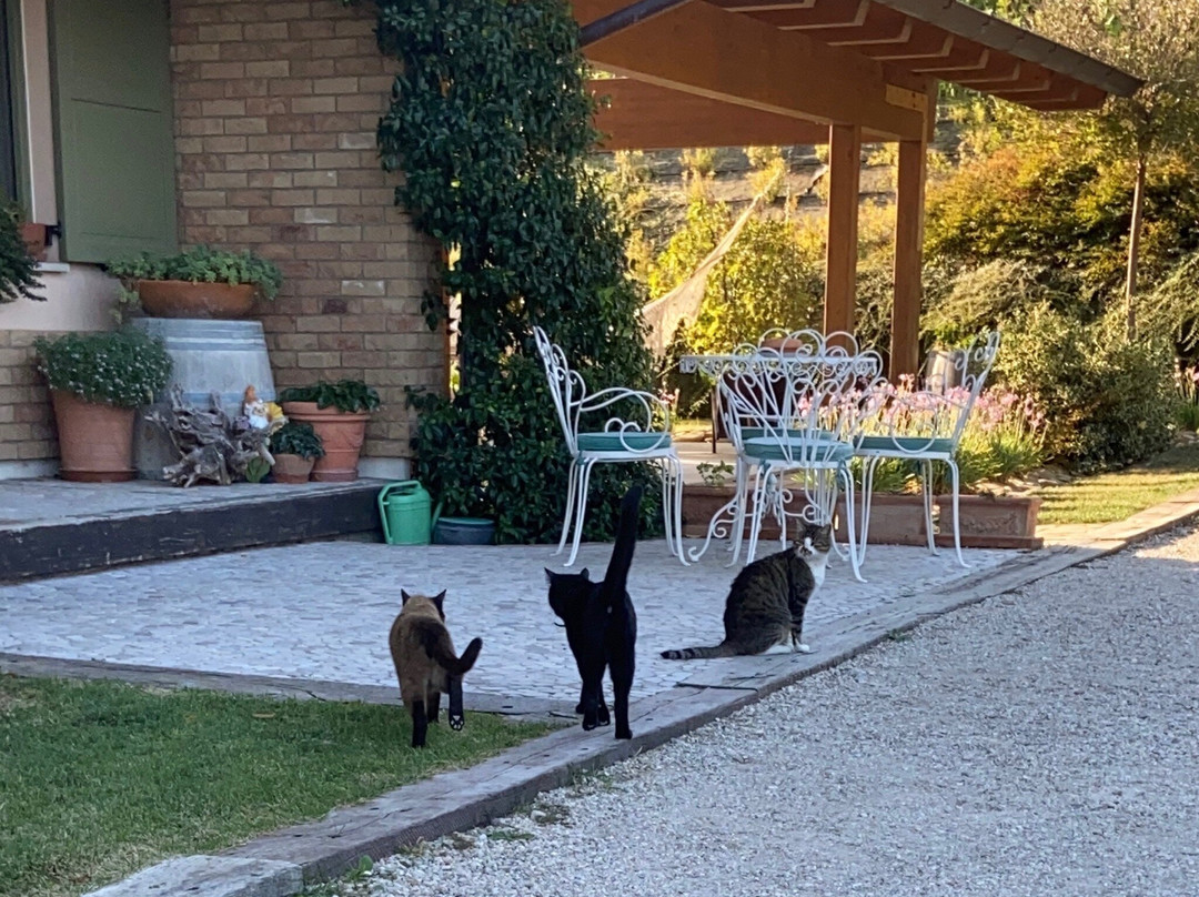 L'Orso e l'Ape B&B主图