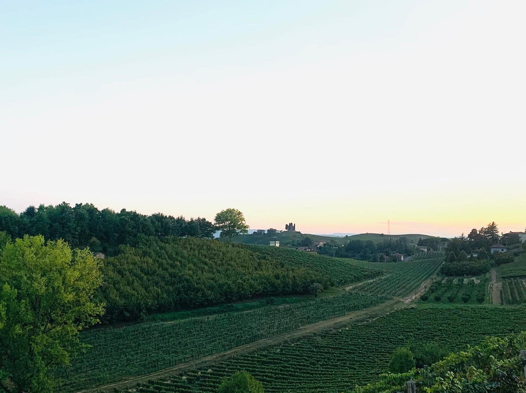 Cascina La Barbatella-Nizza Monferrato必去景点