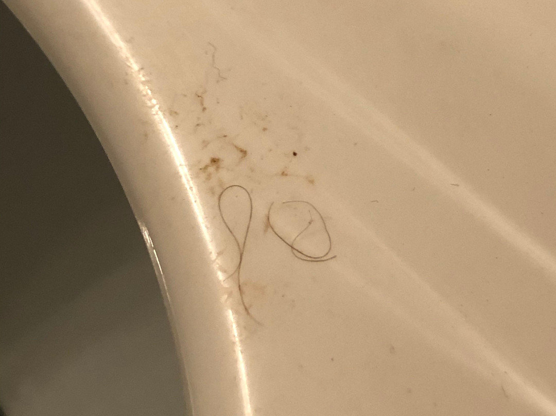 Causeway Bay Hotel Sparwood主图