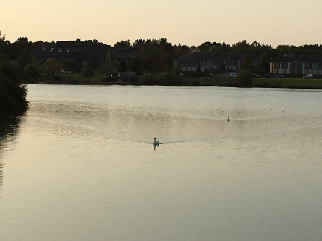 Furzton Lake景点图片