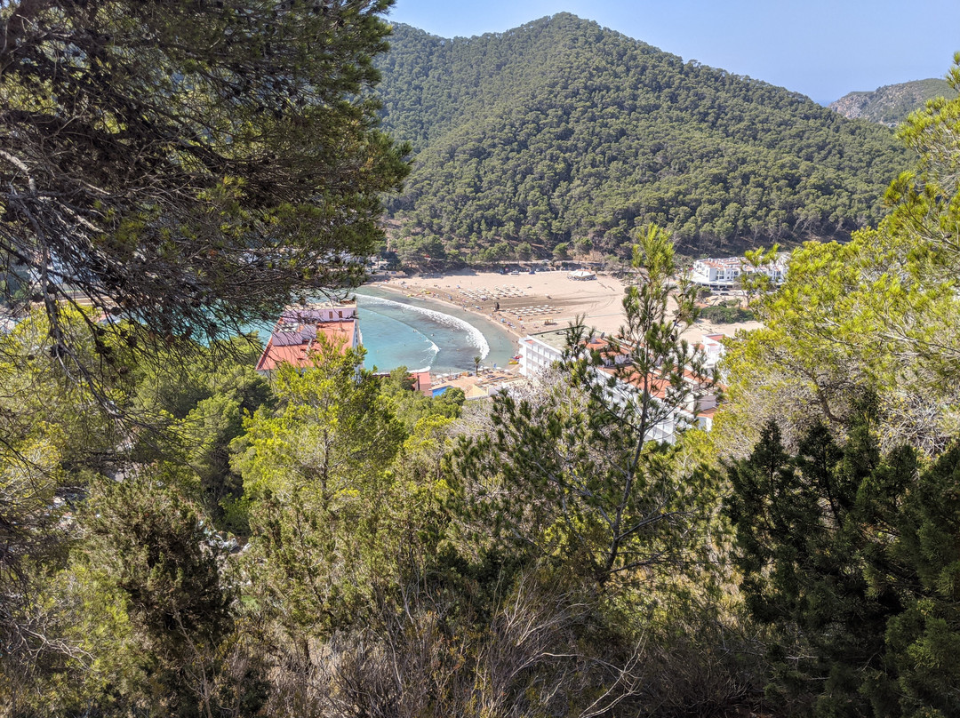 Playa Cala Llonga-Cala Llonga必去景点