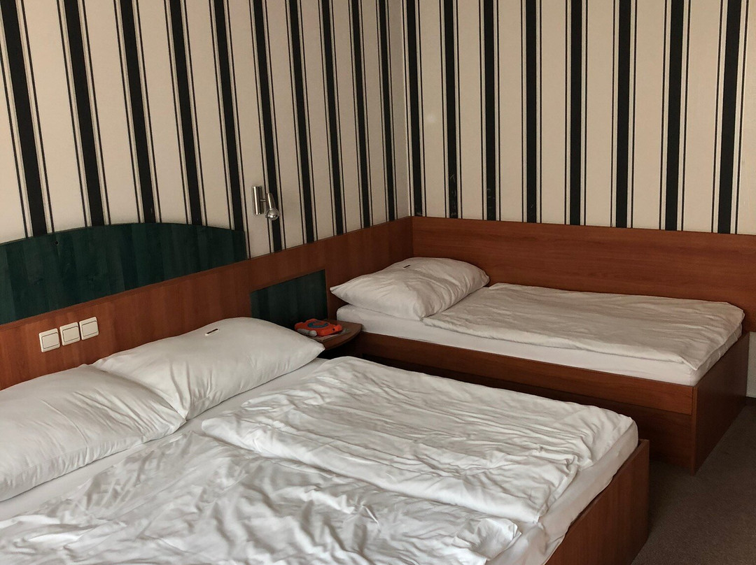 Wellness Hotel Babylon主图