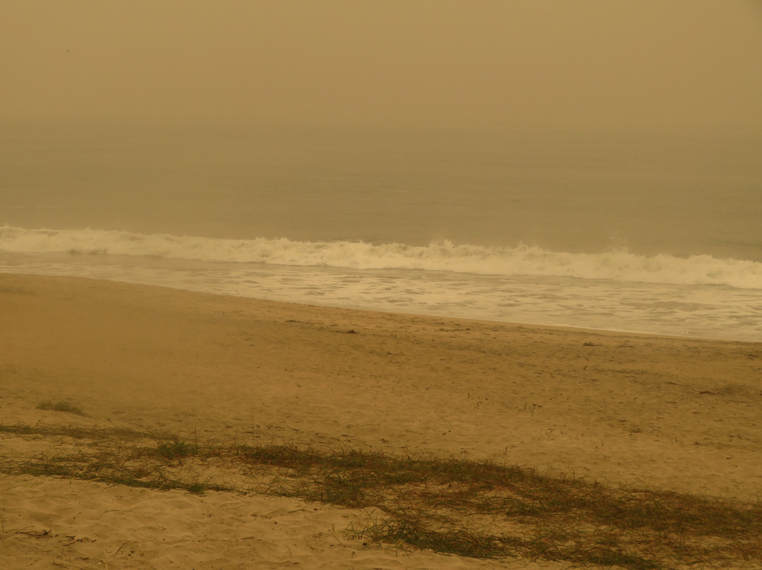 Roosevelt Beach-半月湾必去景点