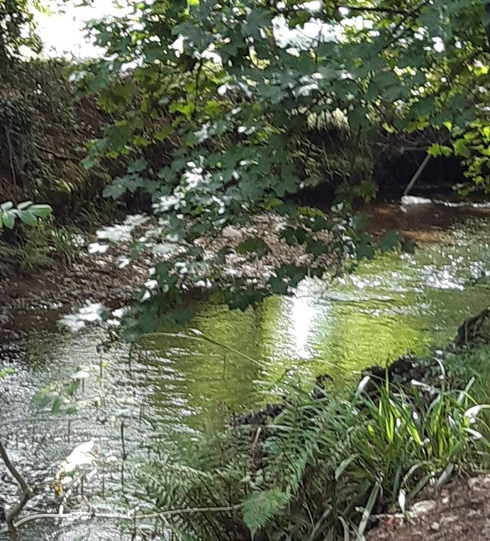 The Byes Riverside Park-西德茅斯必去景点