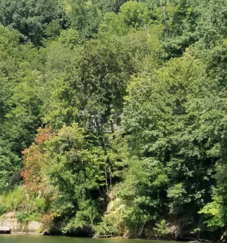 Lake Lure Tours-Lake Lure必去景点