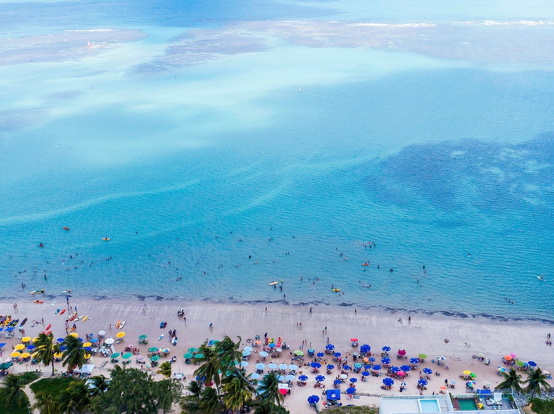 Gray Line Brazil-Joao Pessoa必去景点