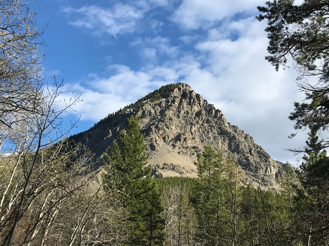 Beaver Mines旅游攻略图片
