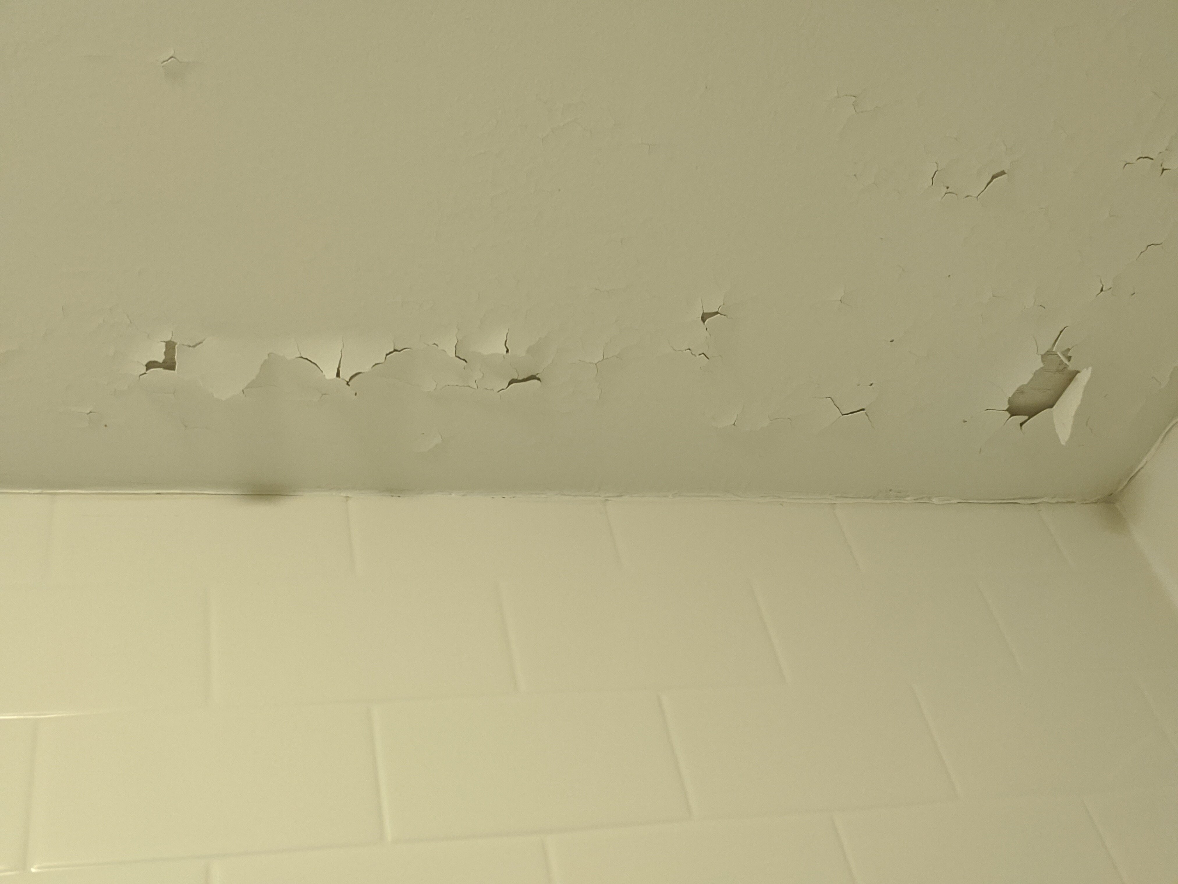 Quality Inn & Suites Georgetown-浴室